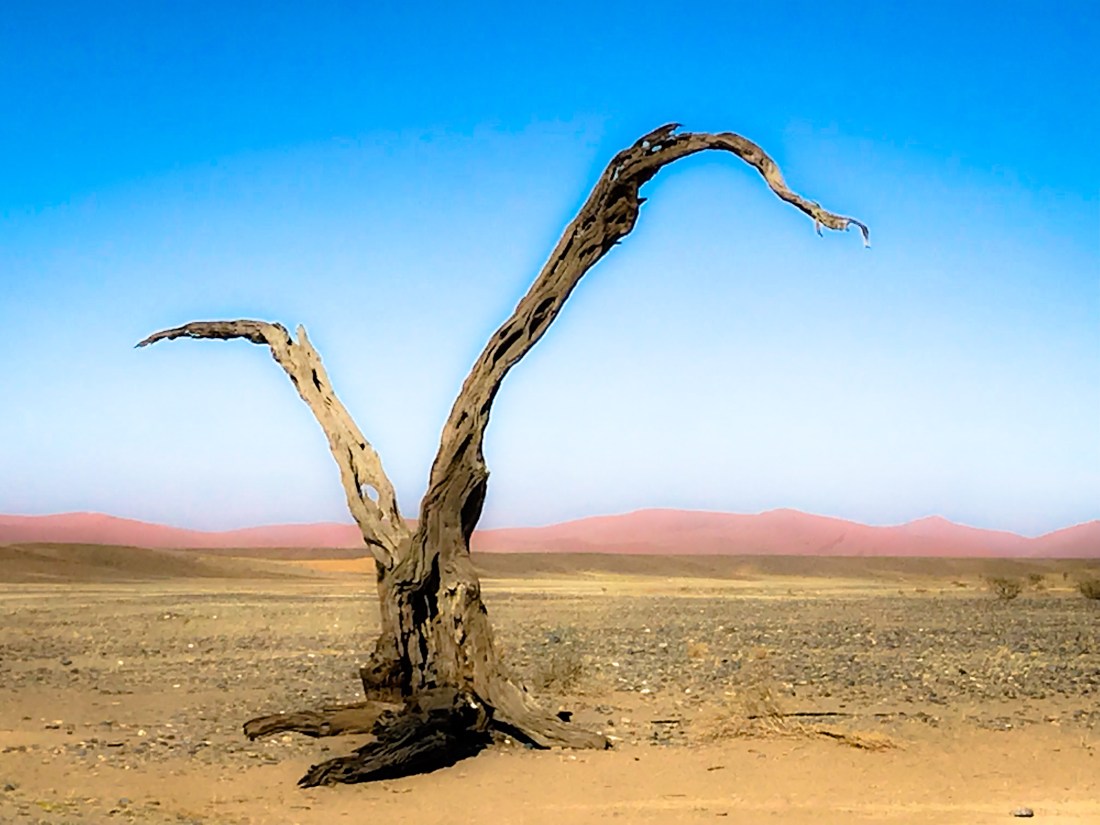 1ED5AE81-2560-401D-A48D-C0A272D8D20B