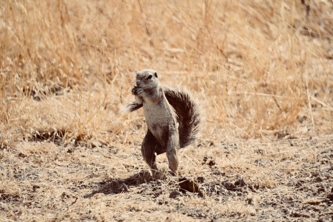 78C8C471-4F49-4DD3-A4E9-5B823460E850